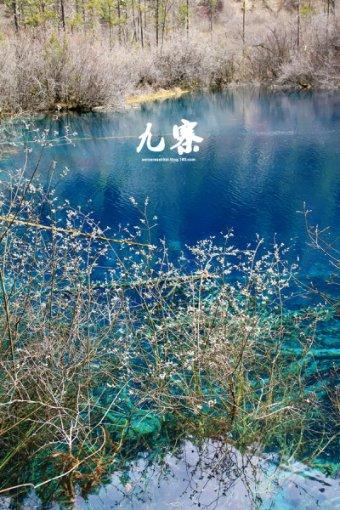 曲棍球教练逃生