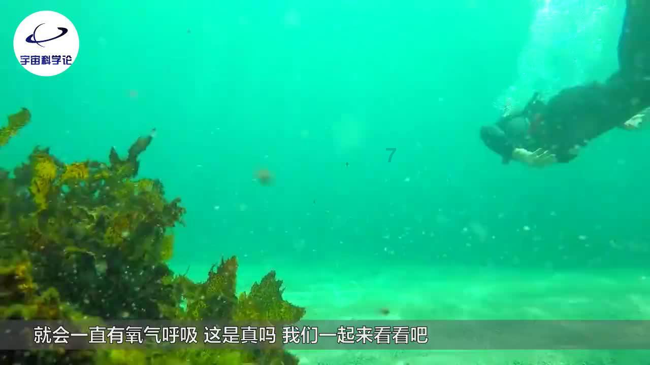 在线免费下载片多多游戏画面